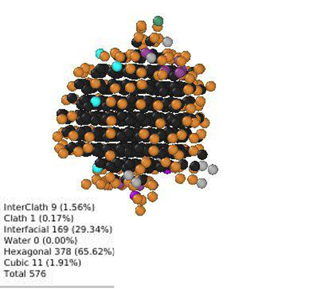 Ice type analysis in OVITO